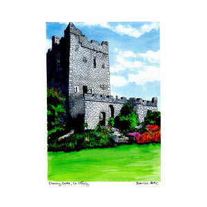 Clonony Castle: A Hidden Tudor Gem Steeped in Irish and English History